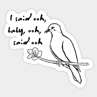 White winged dove Sticker